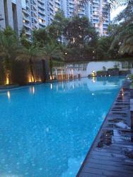 The Laurels (D9), Condominium #132329122